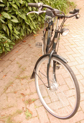 Bijna Nieuw: èèn goede 28'' inch Altra Milennium city trend dames fiets 53 cm frame maat - Afbeelding 2