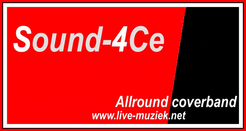 Muziek duo voor uw 12.5 jarig - 25 jarig of 40/50 jarige bruiloft ,huwelijks of een feest - Afbeelding 5