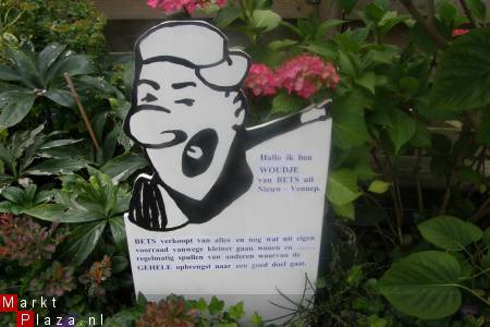 Vlinderschilderij in mooie lijst met beschermplaat. - Afbeelding 4