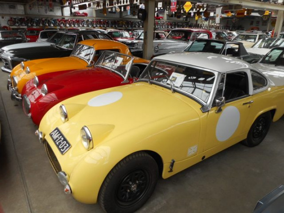 MG Midget - Frogeye sebring - nr. 1