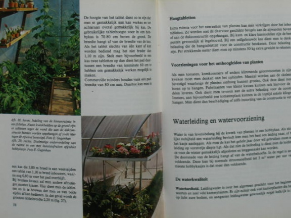 Kas en folie in eigen tuin - Afbeelding 2
