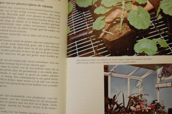 Gewas uit eigen kas - Afbeelding 5
