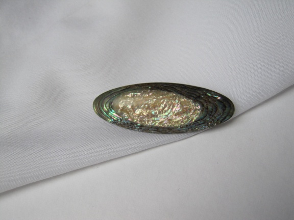 Broche antiek Victoriaans abalone parelmoer schelp 4.5x1.6 cm - nr. 1