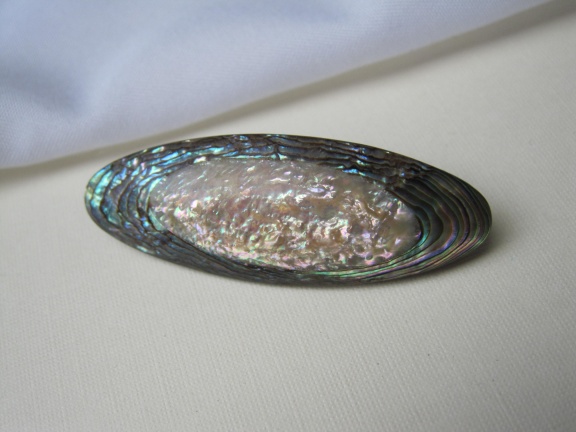 Broche antiek Victoriaans abalone parelmoer schelp 4.5x1.6 cm - Afbeelding 5