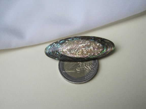Broche antiek Victoriaans abalone parelmoer schelp 4.5x1.6 cm - Afbeelding 7