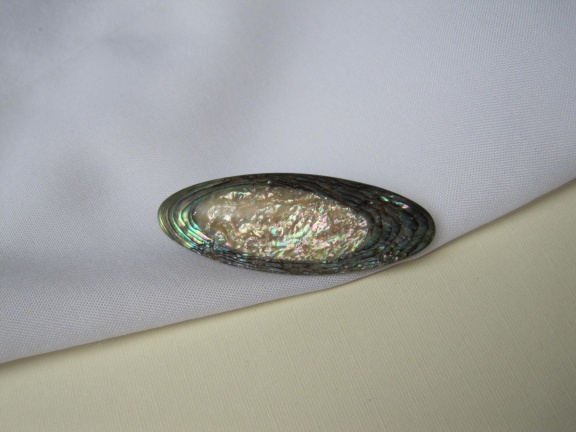 Broche antiek Victoriaans abalone parelmoer schelp 4.5x1.6 cm - Afbeelding 8