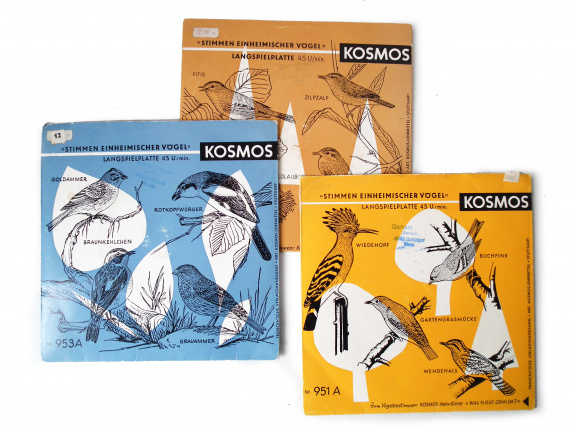 3 singles met vogelgeluiden
