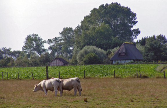 NORMANDIE Vakantiehuis a/ ZEE,10 pers, domein1ha,https://villajeannot.wordpress.com - Afbeelding 3