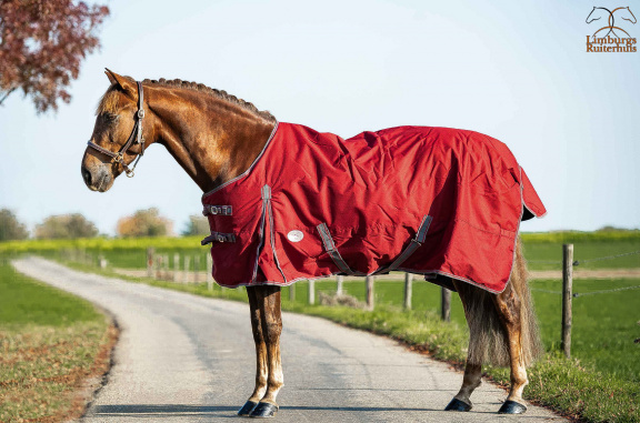 Nieuw Profi-Rider Regendeken Winterdeken 150 gram Waterdicht
