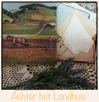 10 Vintage Zakdoekjes, pastel, geborduurd, katoen, met kanten kleedje