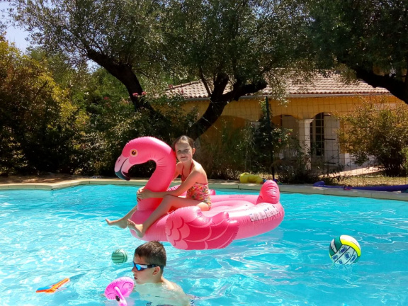 Zonnige vakantie in Zuid Frankrijk, villa 10 p. met zwembad - nr. 1