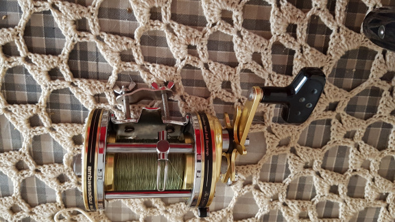 vis reels - Afbeelding 2