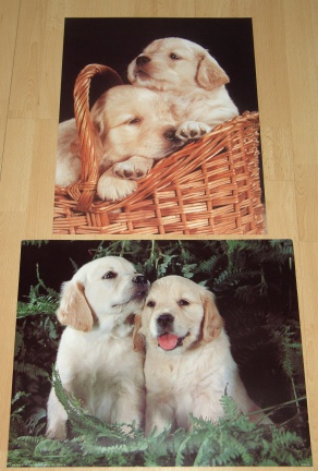 HONDEN PUPPIES RETRIEVER 2 POSTERS NIEUW