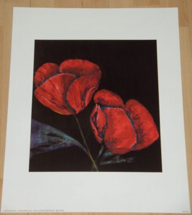BLOEM KLAPROOS 1 POSTER NIEUW