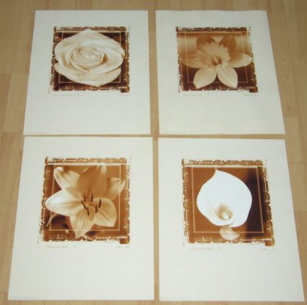 BLOEMEN WIT MET BRUINE ACHTERGROND 4 POSTERS NIEUW