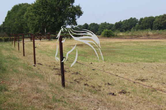 Veld Omheiningen, weidepalen 200 cm, afrasteringen - Afbeelding 7