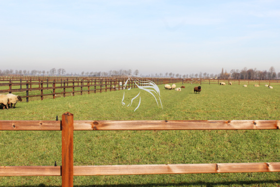Veld's bouwpakket, zelf montage omheiningen - Afbeelding 6