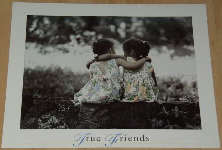 TRUE FRIENDS 1 POSTER NIEUW