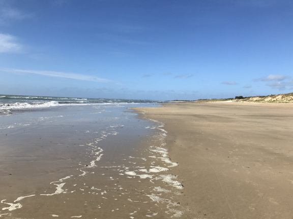 Vakantiehuis op het prachtige eiland Ile de Ré, loopafstand van dorp en strand - Afbeelding 7