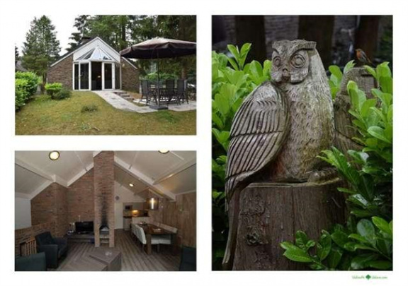 6 persoons vakantiehuis in Vaassen Veluwe - Afbeelding 2