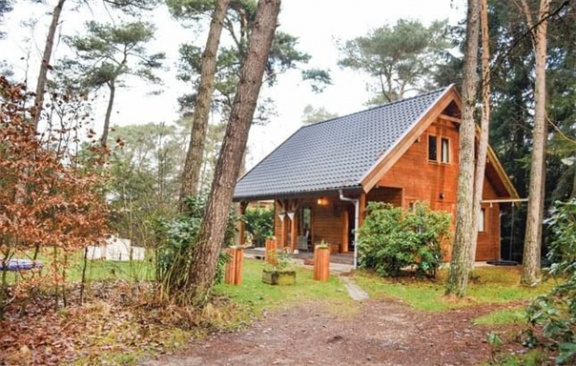 6 persoons vakantiehuis in de bossen van Emst - Afbeelding 2