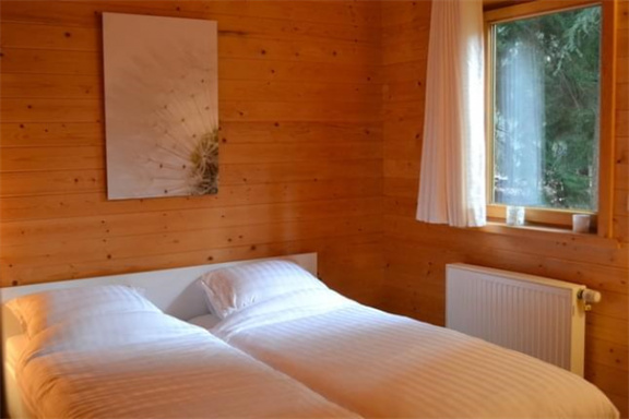 6 persoons vakantiehuis in de bossen van Emst - Afbeelding 4