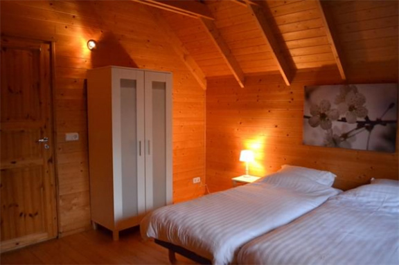 6 persoons vakantiehuis in de bossen van Emst - Afbeelding 5