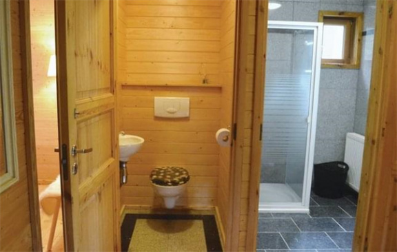 6 persoons vakantiehuis in de bossen van Emst - Afbeelding 6
