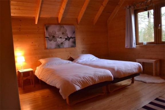 6 persoons vakantiehuis in de bossen van Emst - Afbeelding 7