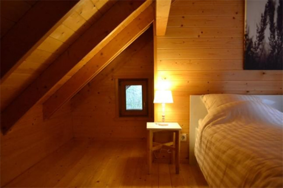 6 persoons vakantiehuis in de bossen van Emst - Afbeelding 8