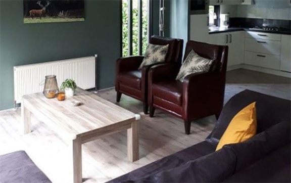 Heerlijk 5 persoons chalet op park in Uddel - Afbeelding 7
