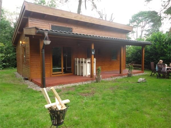 Knus 4 persoons vakantiehuisje in de bossen van Emst - Afbeelding 2
