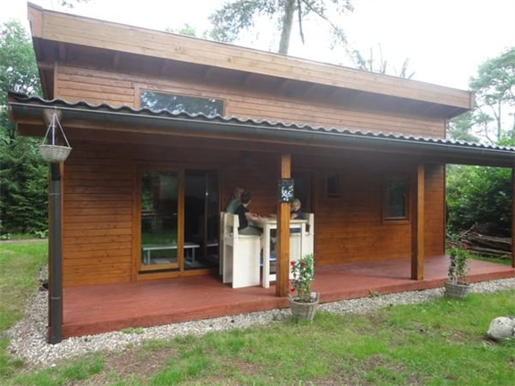 Knus 4 persoons vakantiehuisje in de bossen van Emst - Afbeelding 3