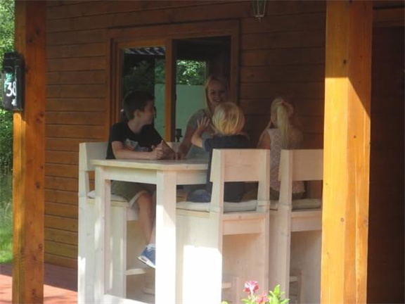 Knus 4 persoons vakantiehuisje in de bossen van Emst - Afbeelding 4