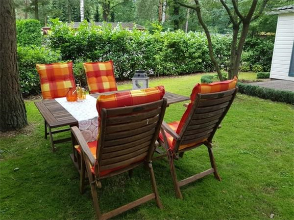 Bospark Dennenrhode Doornspijk chalet - Afbeelding 3