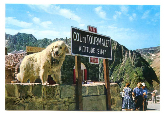 A123 Col du Tourmalet Les Pyrenees Honden Chien des Pyrenees / Frankrijk - nr. 1