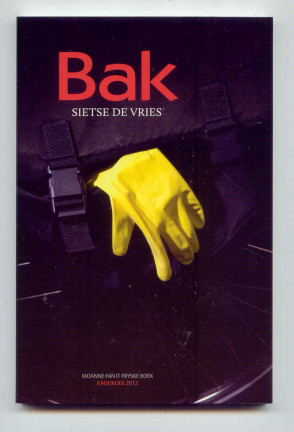 FRIESE Boekenweekgeschenken - 4 exemplaren - Afbeelding 4