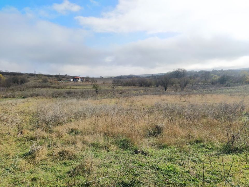Bouwgrond te koop in Dobrich - Afbeelding 2