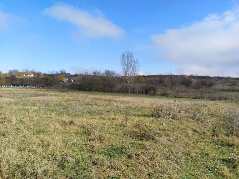 Bouwgrond te koop in Dobrich - Afbeelding 3