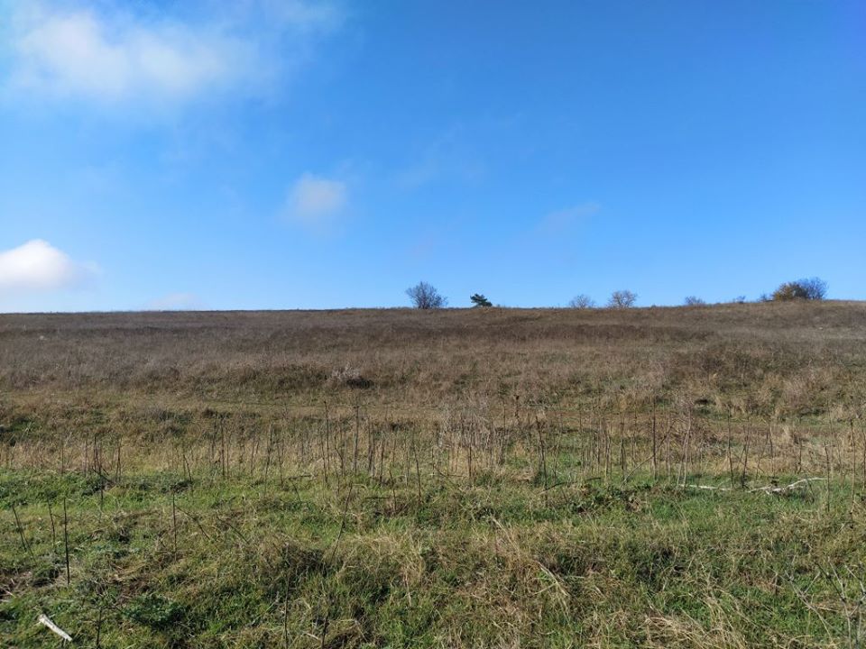 Bouwgrond te koop in Dobrich - Afbeelding 4