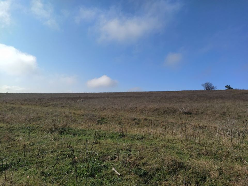 Bouwgrond te koop in Dobrich - Afbeelding 6