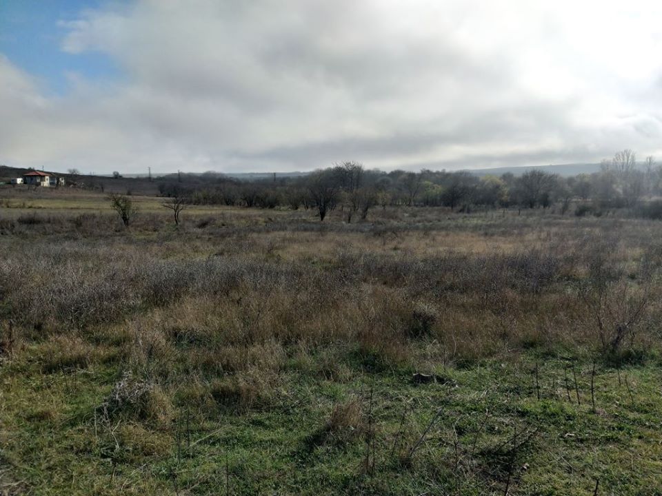 Bouwgrond te koop in Dobrich - Afbeelding 7