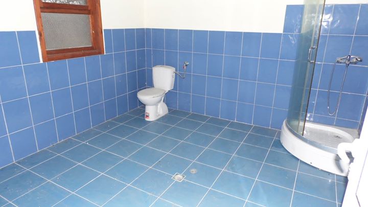 Boomgaard huis Sadina - Afbeelding 6