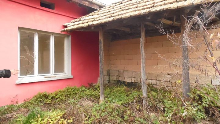 Boomgaard huis Sadina - Afbeelding 8