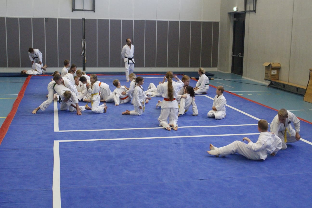 Karate-judo mat - nr. 1