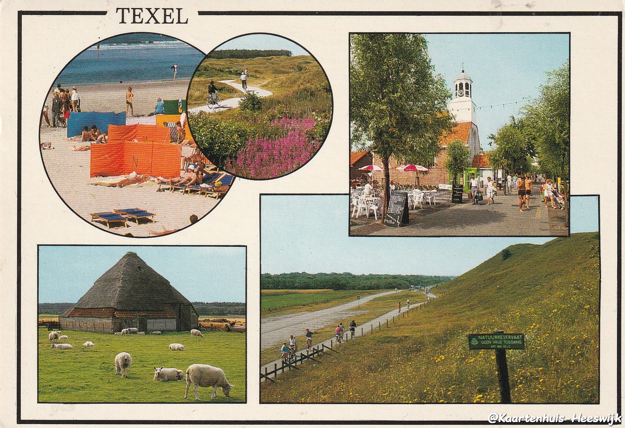 Texel 1991 - nr. 1