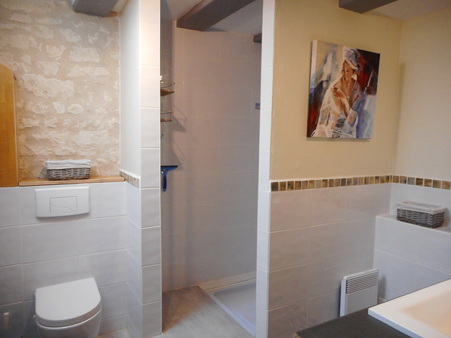vakantie huis frankrijk Indre et Loire tours/Poitiers - Afbeelding 6