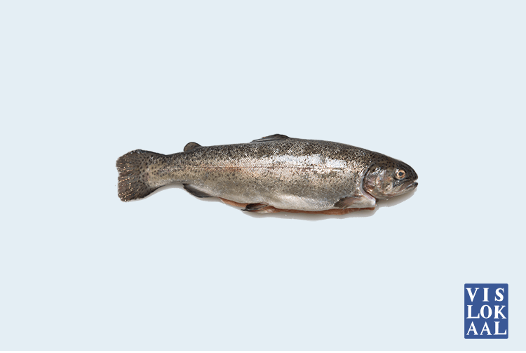 Kabeljauw kopen | Kabeljauw online bestellen 4 filets ca. 380gr | Vislokaal - Afbeelding 2