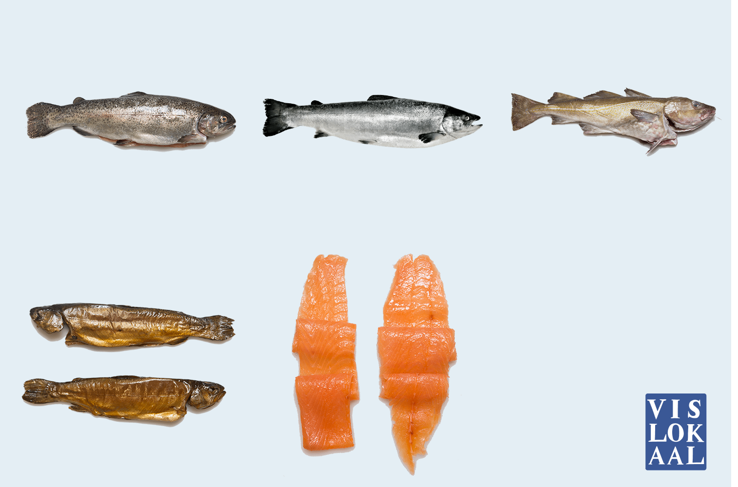 Kabeljauw kopen | Kabeljauw online bestellen 4 filets ca. 380gr | Vislokaal - Afbeelding 3