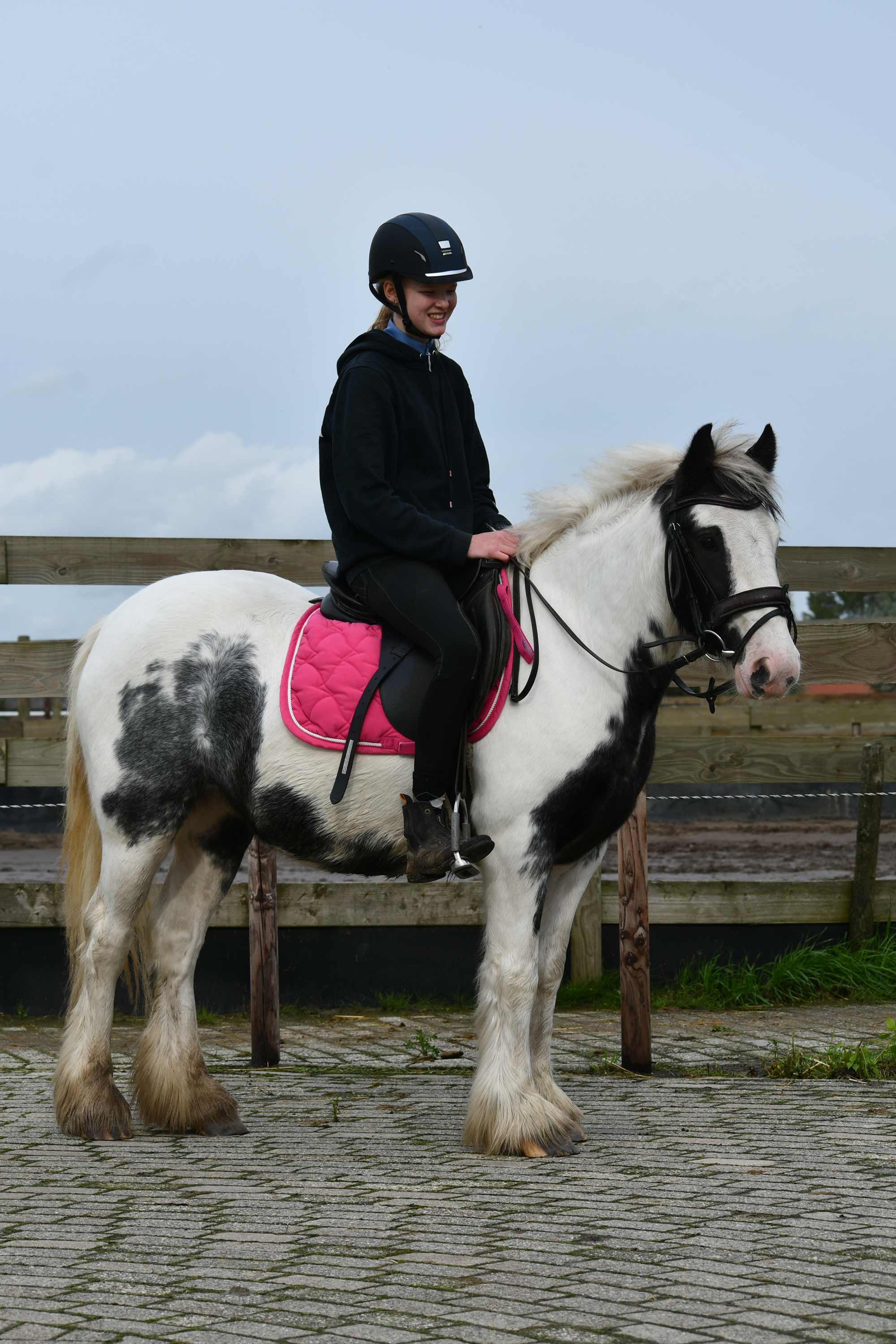 Lieve, mooie Tinkerdame (2 voor de prijs van 1) - nr. 1